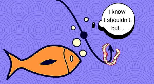 豆瓣引流卖粉项目,每天引流100多粉丝,直接变现800多块钱(价值1200元)-网赚36计