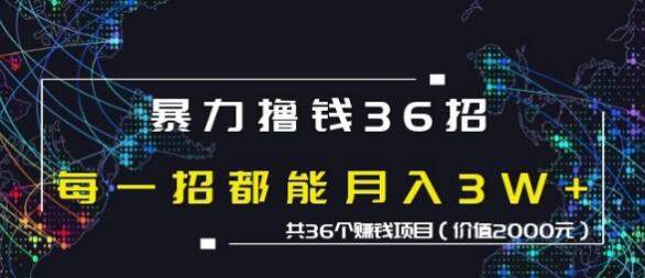 蜘蛛火暴力撸钱36招，共36个赚钱项目价值2000元-网赚36计