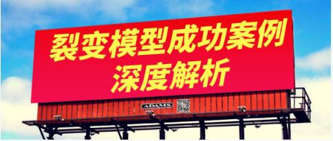 王六六裂变盈利系统课程03裂变模型成功案例深度解析（对标，拆解，套用，复盘）-网赚36计