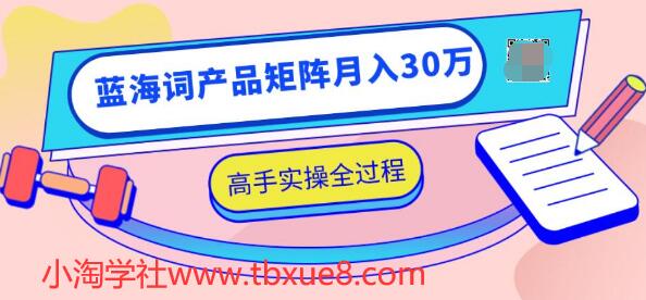 2020最新无货源店群项目,蓝海词产品矩阵月入30万,高手实操全过程(视频教程)-网赚36计