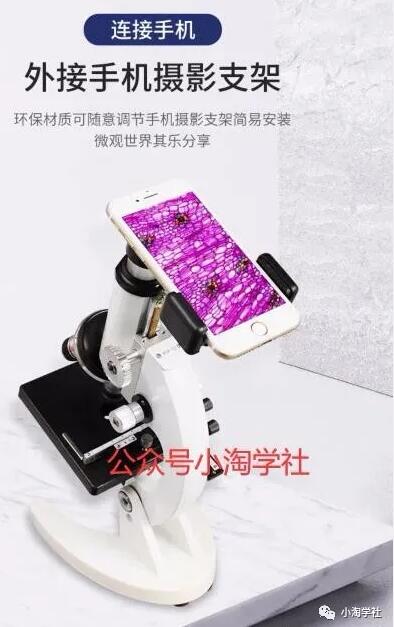 买个显微镜拍抖音做无人直播项目-网赚36计