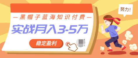 黑帽子蓝海知识付费项目，持续稳定盈利，实战月入3-5w项目-网赚36计
