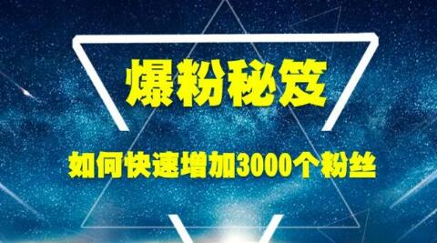 王通《爆粉秘笈》如何快速增加3000个精准粉丝-网赚36计