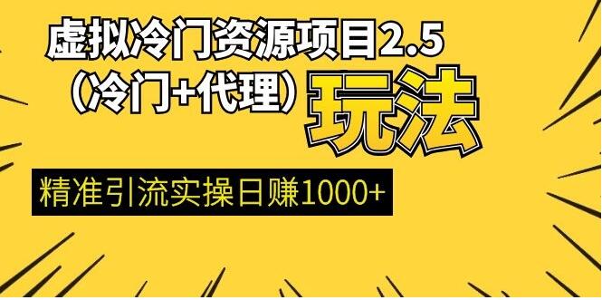 虚拟冷门资源项目（冷门及代理玩法） 精准引流实操日赚1000+(完结)-网赚36计