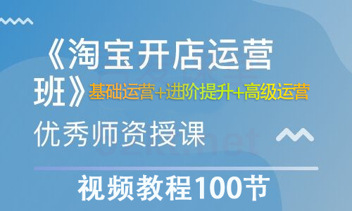 淘宝开店营运视频教程100节从基础运营+进阶提升+高级运营-网赚36计