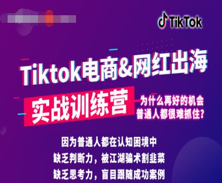 零基础学习抖音国际版TikTok海外短视频新手实战训练营【视频课】-网赚36计