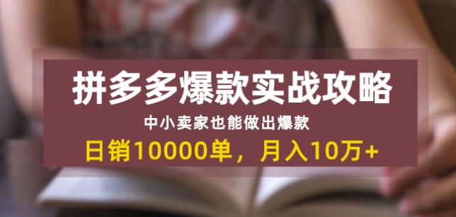 拼多多爆款实战攻略：中小卖家也能做出爆款，日销10000单月入10w+-网赚36计