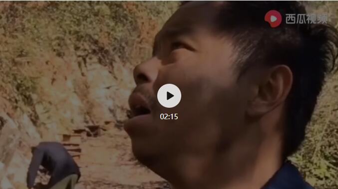 图片[3]-头条号短视频合成术，真人出镜加搬运赚钱-网赚36计