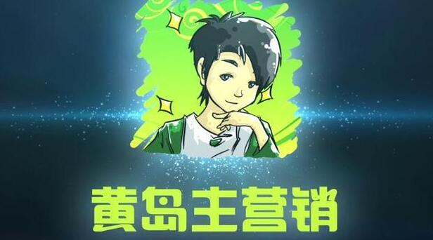 黄岛主引流课程：抖音SEO被动精准引流玩法大解析-网赚36计