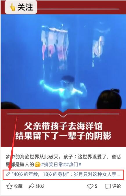 图片[3]-视频号CPS月入10W+ 抢占微信视频号红利-网赚36计