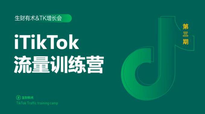 2020最新TikTok流量增长训练营（完结）附PPT-网赚36计