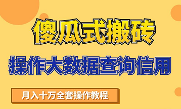搬砖操作大数据查询信用项目赚钱教程，祝你快速月入6万-网赚36计
