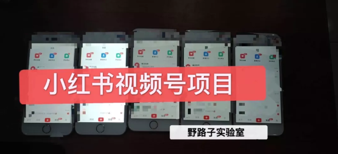 野路子小红书视频号1.0项目，直接上手操作就能赚钱的视频号项目-网赚36计