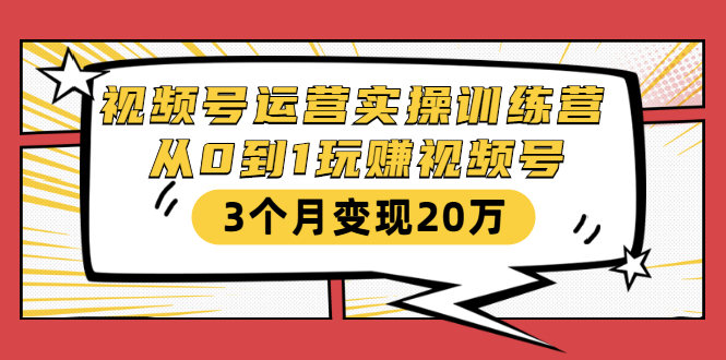 视频号运营实操训练营：从0到1玩赚视频号，3个月变现20万-网赚36计