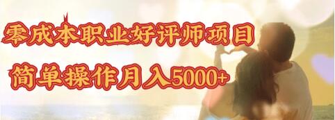零成本操作职业好评师赚钱项目，简单操作月入5000+-网赚36计