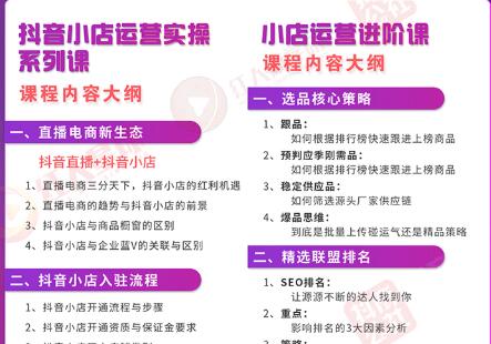 小店运营全套系列课 从基础入门到进阶精通，系统掌握月销百万小店核心秘密-网赚36计