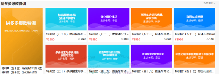 多多大师VIP拼多多运营培训课程价值2980元-网赚36计