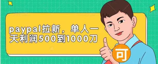 Paypal拉新赚美刀项目，单人一天利润500-1000刀【视频课程】-网赚36计