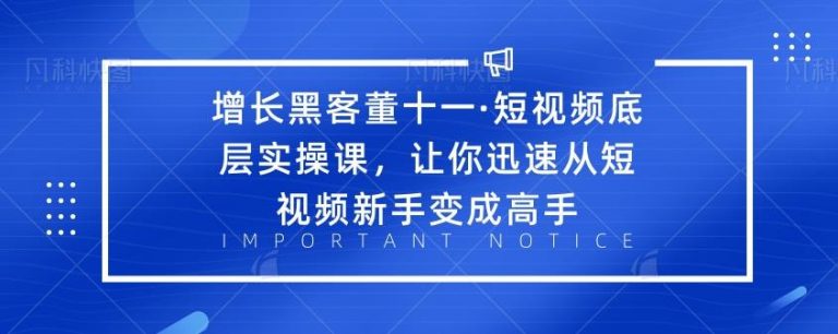 增长黑客董十一·短视频底层实操课，让你迅速从短视频新手变成高手-网赚36计