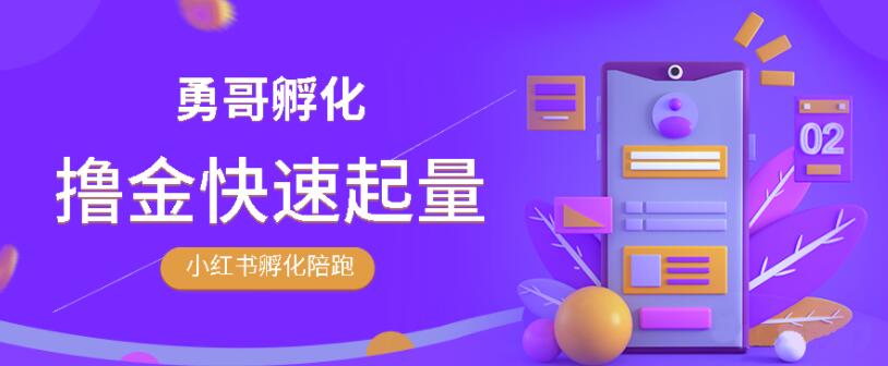 勇哥·小红书撸金快速起量陪跑孵化营，教你在小红书平台实现副业的睡后收入-网赚36计