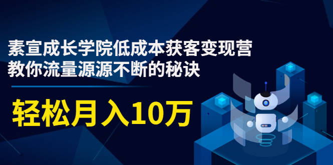 素宣成长学院低成本获客变现营,教你流量源源不断的秘诀,轻松月入10万-网赚36计
