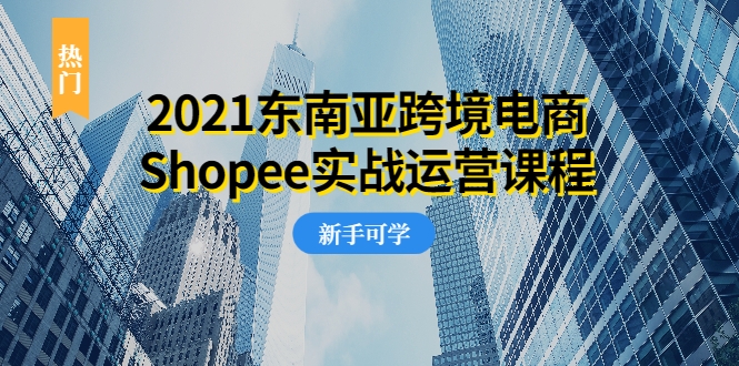 2021东南亚跨境电商Shopee实战运营课程，0基础、0经验、0投资的副业项目-网赚36计