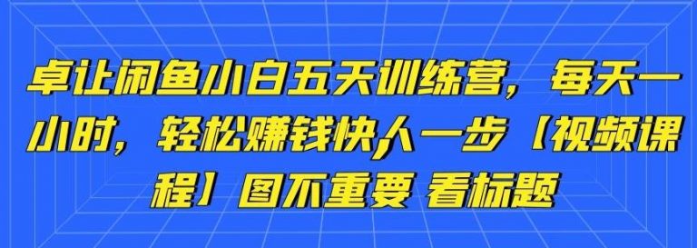 卓让闲鱼小白五天训练营，每天一小时，轻松赚钱快人一步-网赚36计