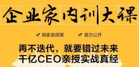 企业家内训大课，未来企业必学经验，价值1299元-网赚36计