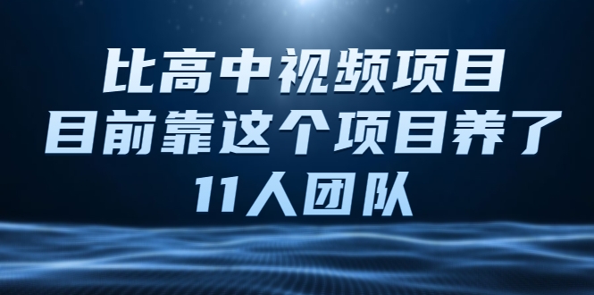 比高中视频项目，目前靠这个项目养了11人团队【视频课程】-网赚36计