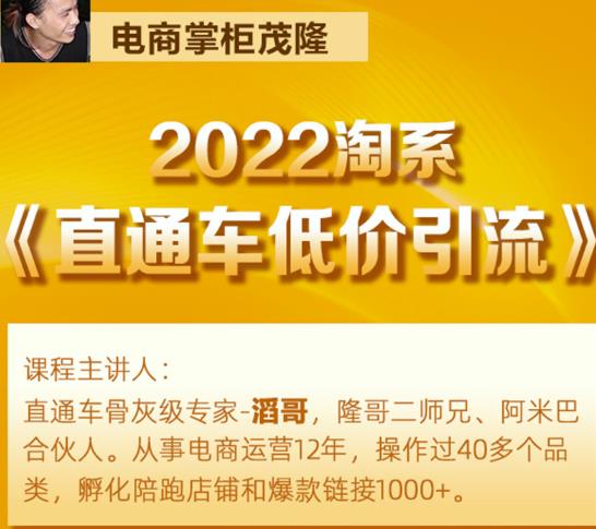 茂隆2022直通车低价引流玩法，教大家如何低投入高回报的直通车玩法-网赚36计