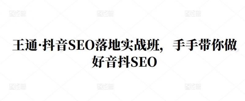 王通·抖音SEO落地实战班,手手带你做好音抖SEO