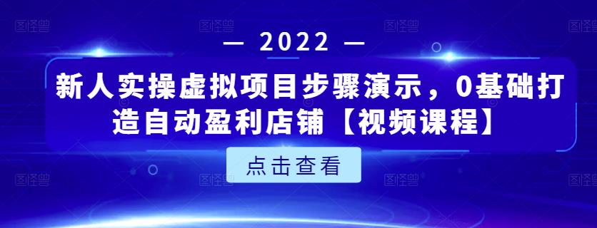 新人实操虚拟项目步骤演示，0基础打造自动盈利店铺【视频课程】-网赚36计