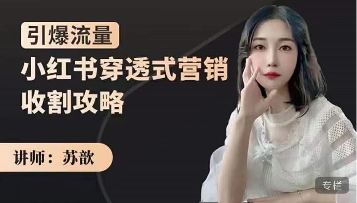 苏歆：小红书穿透式营销收割攻略，引爆流量，助你玩转小红书-网赚36计