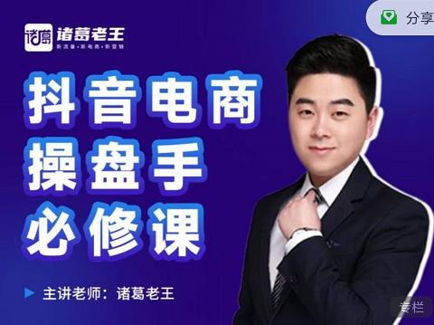 诸葛老王-抖音电商操盘手必修课：顶层设计，​起号破局，爆款运营，数据分析-网赚36计