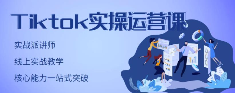 刘博·TikTok实操运营课，手把手账号实战，适合零基础Tiktok新人-网赚36计
