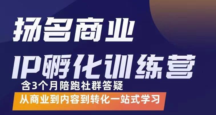 杨名商业IP孵化训练营，从商业到内容到转化一站式学 价值5980元-网赚36计