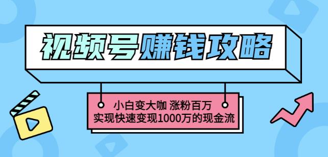 玩转微信视频号赚钱：小白变大咖涨粉百万实现快速变现1000万的现金流-网赚36计