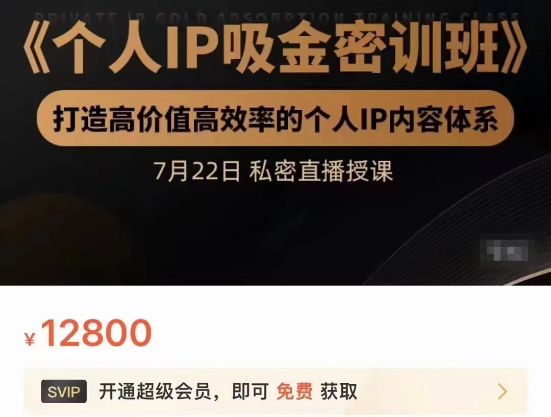 个人IP吸金密训班，打造高价值高效率的个人IP内容体系（价值12800元）-网赚36计