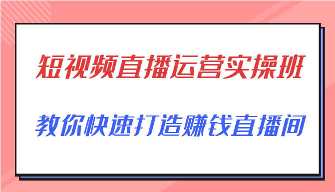 短视频直播运营实操班，直播带货精细化运营实操，教你快速打造赚钱直播间-网赚36计