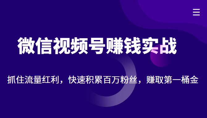 微信视频号赚钱实战：抓住流量红利，快速积累百万粉丝，赚取你的第一桶金-网赚36计