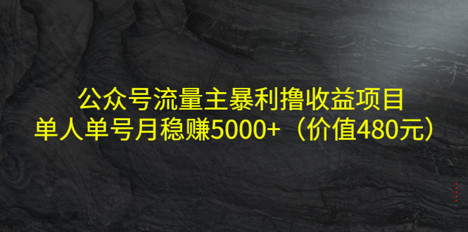 公众号流量主暴利撸收益项目，单人单号月稳赚5000+（价值480元）-网赚36计