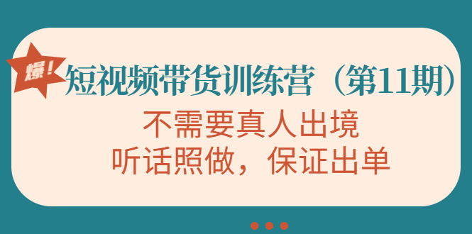 视频带货训练营，不需要真人出境，听话照做，保证出单（第11期）-网赚36计