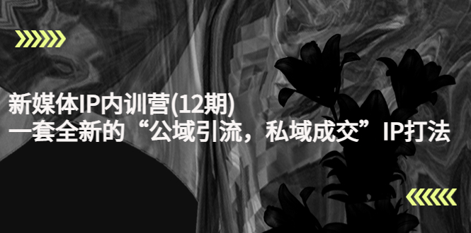 新媒体IP内训营(12期)，一套全新的“公域引流，私域成交”IP打法，直接带走-网赚36计