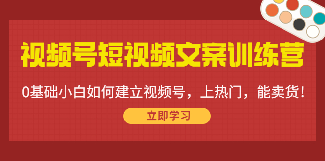 视频号短视频文案训练营:0基础小白如何建立视频号,上热门,能卖货!-网赚36计