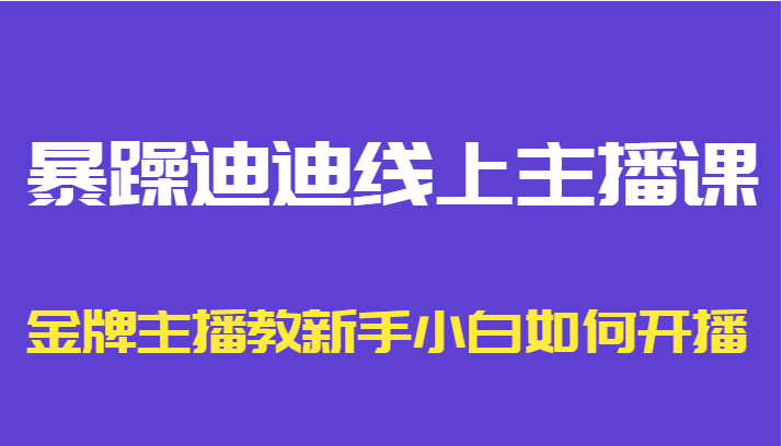 暴躁迪迪线上主播课，金牌主播教新手小白如何开播-网赚36计