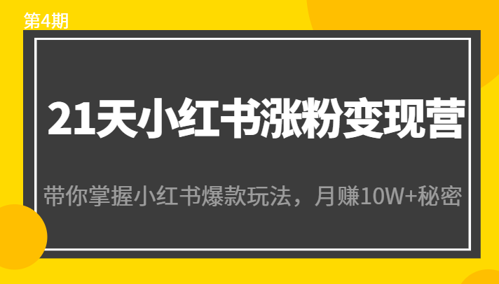 21天小红书涨粉变现营（第4期）：带你掌握小红书爆款玩法，月赚10W+秘密-网赚36计