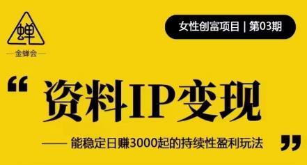 资料IP变现，能稳定日赚3000起的持续性盈利玩法-网赚36计