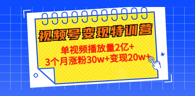 21天视频号变现特训营：单视频播放量2亿+3个月涨粉30w+变现20w+（第14期）-网赚36计