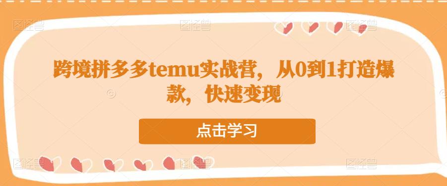 跨境拼多多temu实战营,从0到1打造爆款,快速变现