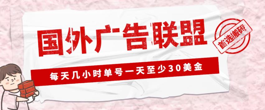 外面收费1980的最新国外LEAD广告联盟搬砖项目,单号一天至少30美金【详细玩法教程】